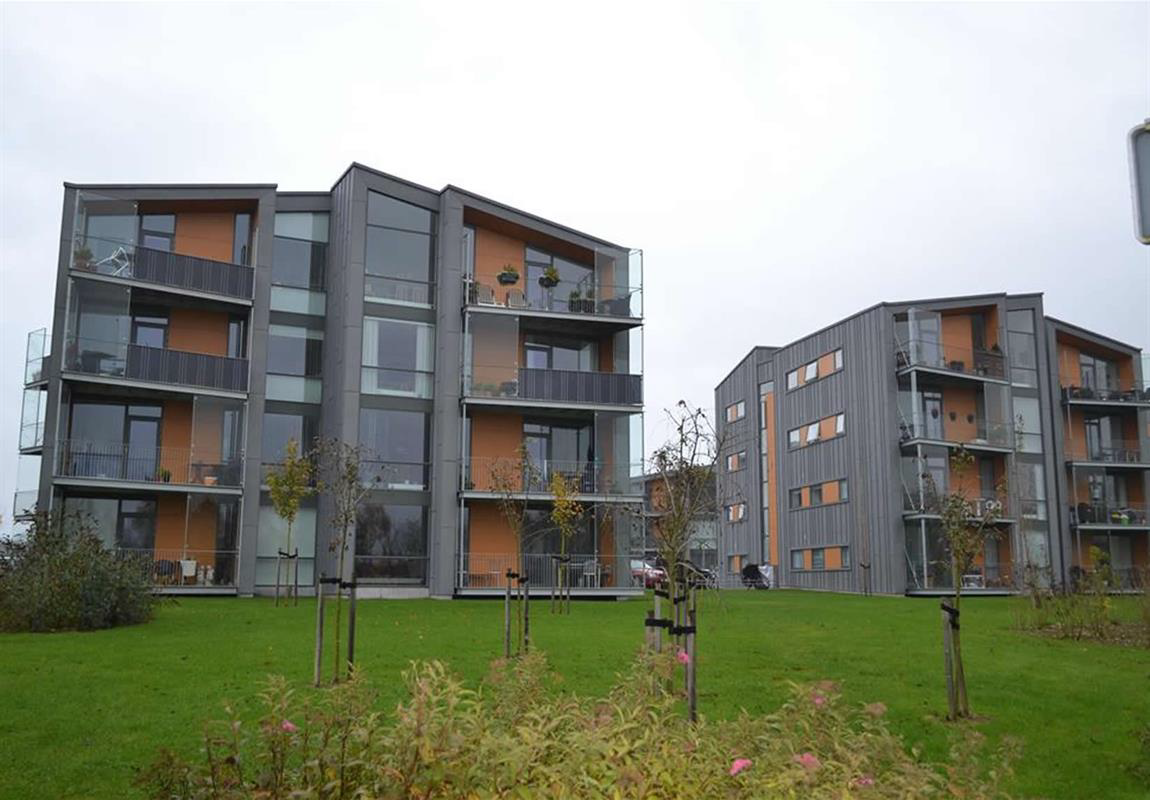 Mølholm Have